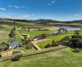 Rural / Farming commercial property for sale at 765 Back Tea Tree Road Tea Tree TAS 7017