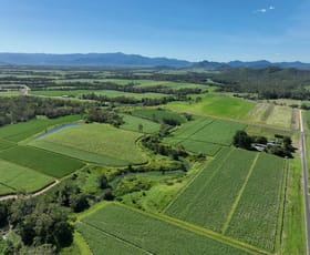 Rural / Farming commercial property for sale at Septimus QLD 4754