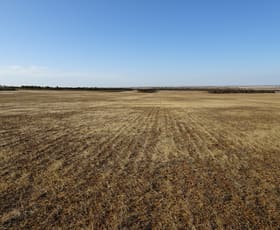 Rural / Farming commercial property sold at 724 Haese Road Walyurin WA 6363
