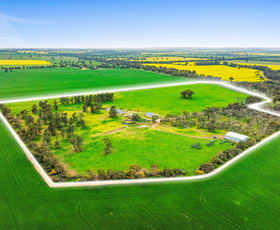 Rural / Farming commercial property for sale at 153 Baylis Lane Wagga Wagga NSW 2650