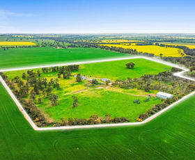 Rural / Farming commercial property for sale at 153 Baylis Lane Yathella NSW 2650