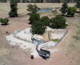 Rural / Farming commercial property for sale at 409 Trungley Hall Post Office Road Temora NSW 2666