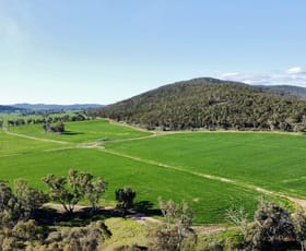 Rural / Farming commercial property for sale at 409 Trungley Hall Post Office Road Temora NSW 2666