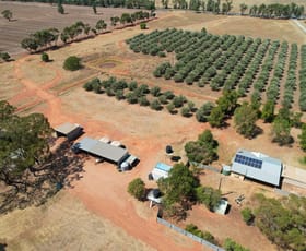 Rural / Farming commercial property for sale at 9 The Mcgrane Way Tullamore NSW 2874