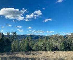 Rural / Farming commercial property for sale at 10 Mountain Creek Rd Mole River NSW 2372