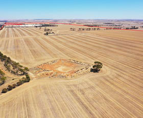 Rural / Farming commercial property sold at 1053 Burns Road Lake Grace WA 6353