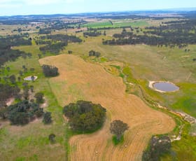 Rural / Farming commercial property for sale at 1 Little Plains Road Blakney Creek NSW 2581