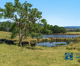 Rural / Farming commercial property for sale at 10366 Mount Lindesay Road Legume NSW 2476
