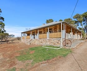 Rural / Farming commercial property for sale at 381 Humphries Road Leighton SA 5417