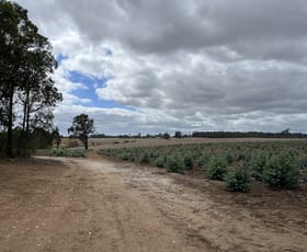 Rural / Farming commercial property for sale at Lot 12913 Tannin Road Manjimup WA 6258
