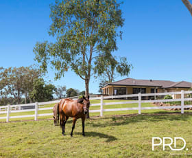 Rural / Farming commercial property for sale at 100 Poole Road Ruthven NSW 2480