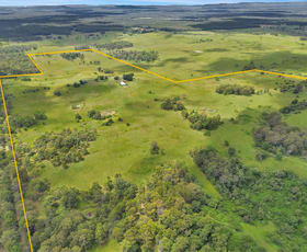 Rural / Farming commercial property for sale at 145 Mooney's Lane Ellangowan NSW 2470