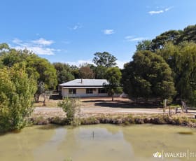 Rural / Farming commercial property for sale at 403 Hill Road Stanhope VIC 3623