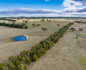 Rural / Farming commercial property for sale at 1690 Cooks Hill Road Yass NSW 2582