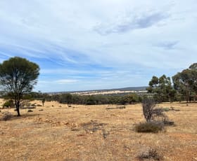 Rural / Farming commercial property for sale at 28713 Avon Location 28713, Dobaderry Road Beverley WA 6304