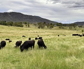 Rural / Farming commercial property for sale at "The Tops" 4831 Tablelands Road Tablelands QLD 4680