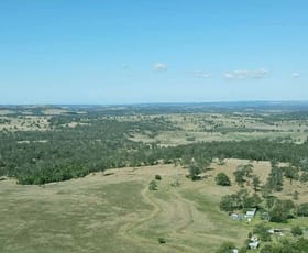 Rural / Farming commercial property for sale at Lot 32 Haden Crows Nest Rd Pinelands QLD 4355