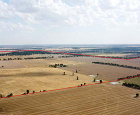 Rural / Farming commercial property for sale at 1349 Trungley Hall Road Temora NSW 2666