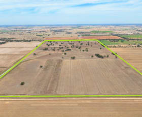 Rural / Farming commercial property sold at "Armagh Park" Avalon Road Deniliquin NSW 2710