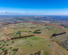 Rural / Farming commercial property for sale at 675 Levels Road Golspie NSW 2580