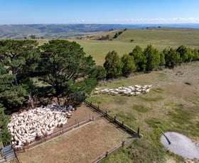 Rural / Farming commercial property for sale at 675 Levels Road Golspie NSW 2580