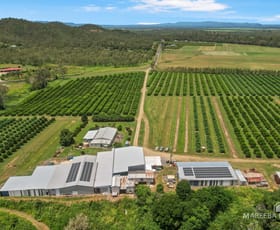 Rural / Farming commercial property for sale at 733 Bilwon Road Biboohra QLD 4880