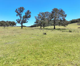 Rural / Farming commercial property for sale at 1393 Middle Arm Road Goulburn NSW 2580