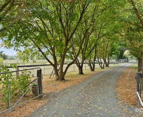 Rural / Farming commercial property for sale at 13a Macquarie Street West Bathurst NSW 2795