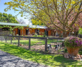 Rural / Farming commercial property for sale at 13a Macquarie Street West Bathurst NSW 2795