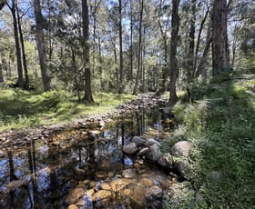 Rural / Farming commercial property for sale at 62/1118 Neringla Road Braidwood NSW 2622