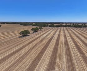 Rural / Farming commercial property for sale at - Loddon West Road Fiery Flat VIC 3518