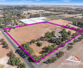 Rural / Farming commercial property for sale at 11 Reed Road Hillier SA 5116