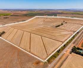 Rural / Farming commercial property for sale at 102 Murrami Road Murrami NSW 2705