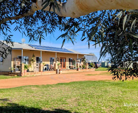 Rural / Farming commercial property for sale at 22 Sandringham Road (Muckenburra) Gingin WA 6503