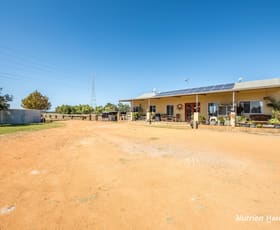 Rural / Farming commercial property for sale at 22 Sandringham Road (Muckenburra) Gingin WA 6503