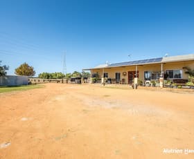 Rural / Farming commercial property for sale at 22 Sandringham Road (Muckenburra) Gingin WA 6503