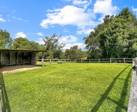 Rural / Farming commercial property for sale at 136 Gerrard Road Eudlo QLD 4554