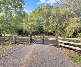 Rural / Farming commercial property for sale at 136 Gerrard Road Eudlo QLD 4554