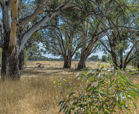 Rural / Farming commercial property for sale at 200 Campbells Road Redesdale VIC 3444
