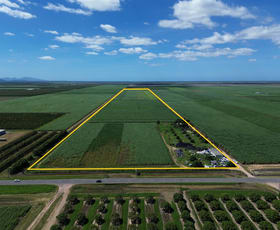 Rural / Farming commercial property for sale at 32876 Bruce Highway Horseshoe Lagoon QLD 4809