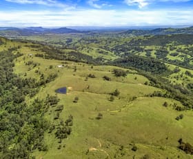 Rural / Farming commercial property for sale at Miranioka | Mirannie Road Singleton NSW 2330