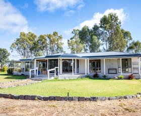 Rural / Farming commercial property for sale at 50 KOONDROOK WEST ROAD Koondrook VIC 3580