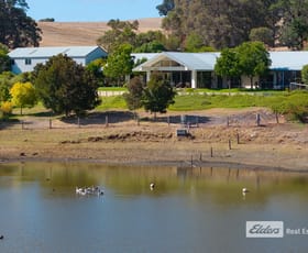 Rural / Farming commercial property for sale at 179 King Spring Road Thomson Brook WA 6239