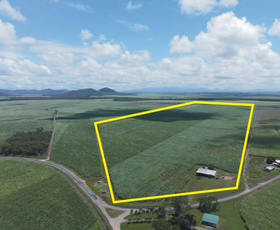 Rural / Farming commercial property for sale at 1/ Nebbias Road Yuruga QLD 4850