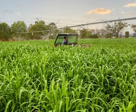 Rural / Farming commercial property for sale at 1480 Oxley Highway Tamworth NSW 2340
