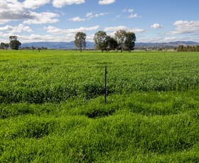 Rural / Farming commercial property for sale at 1480 Oxley Highway Tamworth NSW 2340