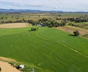 Rural / Farming commercial property for sale at 1480 Oxley Highway Tamworth NSW 2340