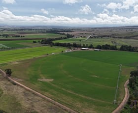 Rural / Farming commercial property for sale at 2291 Golden Highway Denman NSW 2328