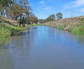 Rural / Farming commercial property for sale at 4819 Warrumbungles Way Binnaway NSW 2395