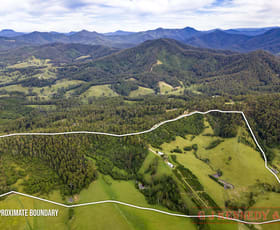 Rural / Farming commercial property for sale at 344 Williams Hill Rd Talarm NSW 2447